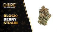 Block-Berry Strain: Flavor, Effects & THCA Flower Guide