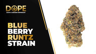Blueberry Runtz Strain Review | Sweet Flavor & Effects