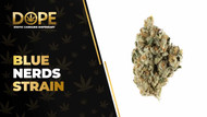 Blue Nerds Strain Review: Sweet Flavour & Hybrid Effects