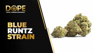 Blue Runtz Strain Review | Sweet Berry Flavor & Effects