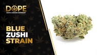 Blue Zushi Strain Review: Flavor, Effects & Potency
