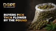 Buyers Pick THCA Flower by the Pound