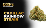 Cadillac Rainbow Strain Review | Flavor, Effects & Growing