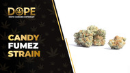 Candy Fumez Strain: Sweet Flavor, Effects & Genetics