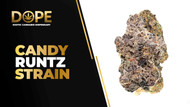 Candy Runtz Strain Review | Sweet Flavor & Effects