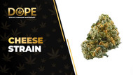 Cheese Strain Review: Skunky Aroma & Relaxing Effects