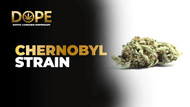Chernobyl Strain 2025 Guide: Flavor, Effects & Growth