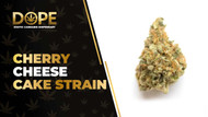 Cherry Cheese Cake Strain Review: Flavor & Effects Guide