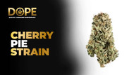Cherry Pie Strain 2025: Flavor, Effects & Growing Guide