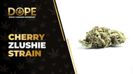 Cherry Zlushie Strain Review: Flavor, Effects & THC