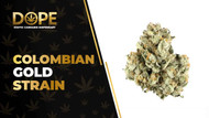 Colombian Gold Strain Review: Classic Sativa Energy
