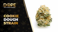 Cookie Dough Strain Review: Flavor, Effects & Genetics