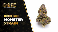 Cookie Monster Strain Review: Flavor, Effects & THC