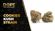 Cookies Kush Strain Review: Flavor, Effects & THC Guide