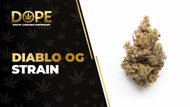 Diablo OG Strain Review: Potent Indica & Kush Flavour