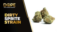 Dirty Sprite Strain Review | Grape Flavor & Effects