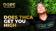 Does THCA Get You High? Effects, Benefits & Legality