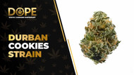 Durban Cookies Strain Review: Flavor, Effects & THC