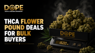 THCA Flower Pound Deals for Bulk Buyers