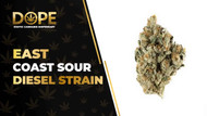 East Coast Sour Diesel Strain Review & Effects Guide