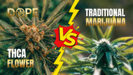 THCA Flower vs. Marijuana: How DOPE is Changing the Game