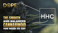 HHC: The Smooth and Balanced Cannabinoid You Need to Try