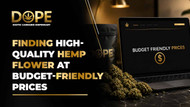 Finding High-Quality Hemp Flower at Budget-Friendly Prices