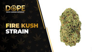 Fire Kush Strain: Genetics, Effects, Flavor & THCA Flower