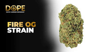 Fire OG Strain 2025 Guide: Flavor, Effects & Growing Tips