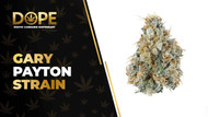 Gary Payton Strain Review: Effects, Flavor & THC Guide