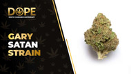 Gary Satan Strain: Flavor, Effects, Genetics & THCA Flower
