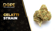 Gelatti Strain Review: Flavor, Effects & Potency Guide