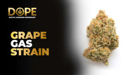 Grape Gas Strain Review | Flavor, Effects & Grow Guide
