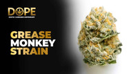 Grease Monkey Strain Review | Effects, Flavor & Grow