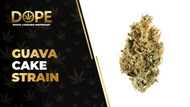 Guava Cake Strain Review: Flavor, Effects & Potency