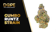Gumbo Runtz Strain Review | Candy Gas & Relaxing Effects