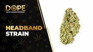 Headband Strain Review: Effects, Flavor & THC Guide