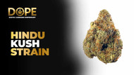 Hindu Kush Strain: Effects, Terpenes & 2025 Guide