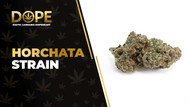 Horchata Strain: Flavor, Effects, Genetics & THCA Flower