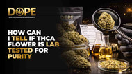 How can I tell if THCA flower is lab tested for purity