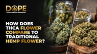 How does THCA flower compare to traditional hemp flower?