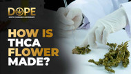 How Is THCA Flower Made? (A Complete Guide) How Is THCA Flower Made? (A Complete Guide)
