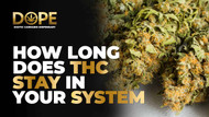 How Long Does THC Stay in Your System: 2025 Guide & Facts