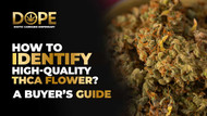 How to Identify High-Quality THCA Flower? A Buyer’s Guide