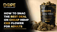 How to Snag the Best Deal On Cheap Hemp CBD Flower For Adults
