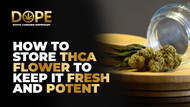 How to Store THCA Flower to Keep It Fresh and Potent How to Store THCA Flower to Keep It Fresh and Potent