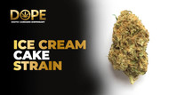 Ice Cream Cake Strain: Flavor, Effects, THC & Terpene Profile Ice Cream Cake Strain: Flavor, Effects, THC & Terpene Profile