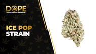 Ice Pop Strain Review: Citrus Flavour & Relaxing Effects