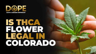 Is THCA Flower Legal in Colorado? Laws, Safety & Tips