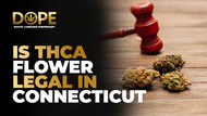 Is THCA Flower Legal in Connecticut